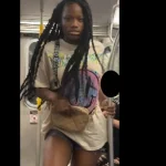 La policía investiga crimen de odio contra dos mujeres asiáticas por parte de adolescentes en el metro de Nueva York