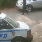 Una leona marina escapó del zoológico de Central Park en medio de las inundaciones en Nueva York