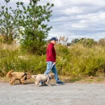 Se inauguro la primera parte del proyecto ambiental del parque Freshkills en Staten Island