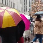 Rockefeller Center: Ya llegó a Nueva York el árbol de Navidad más famoso del mundo