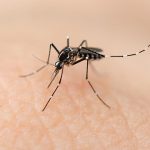 RD: Republica Dominicana registra más de 18 mil casos de dengue