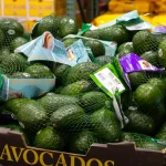 Ingenioso truco científico que usa Costco para que sus aguacates duren más