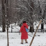 ¿Cuánta nieve ha caído y cuándo volverá a nevar en Nueva York?