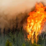 “Incendios zombis” en Canadá: Alerta en el país por el ritmo alarmante