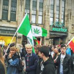 En Alemania la marihuana mueve un mercado negro millonario. Ahora el país ha decidido legalizar su consumo