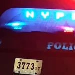 Un bebé recién nacido y madre fueron golpeados por su padre en plena calle: acusación de Nueva York