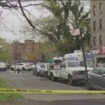 Matan a puñaladas a hombre en disputa por lugar de estacionamiento en El Bronx