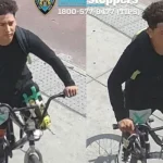 Niña abusada en parque de Queens: atrapan a sospechoso latino