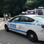 Sospechoso ataca a mujer que tomaba el sol en Central Park