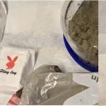 Confiscan a dominicanos 25 libras  de fentanilo y cocaína con sellos  de las marcas “Playboy Bunny”  y  “Tesla” en apartamento en El Bronx