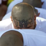 Acusan en NY a siete miembros de la MS-13 por asesinatos y crimen organizado