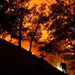 Un guardabosques muere en incendio forestal en la frontera entre Nueva York y Nueva Jersey