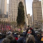 Arbol de Navidad del Rockefeller Center llega a Nueva York