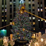 Conoce la historia detrás del árbol de Navidad que adornará el Rockefeller Center de Nueva York