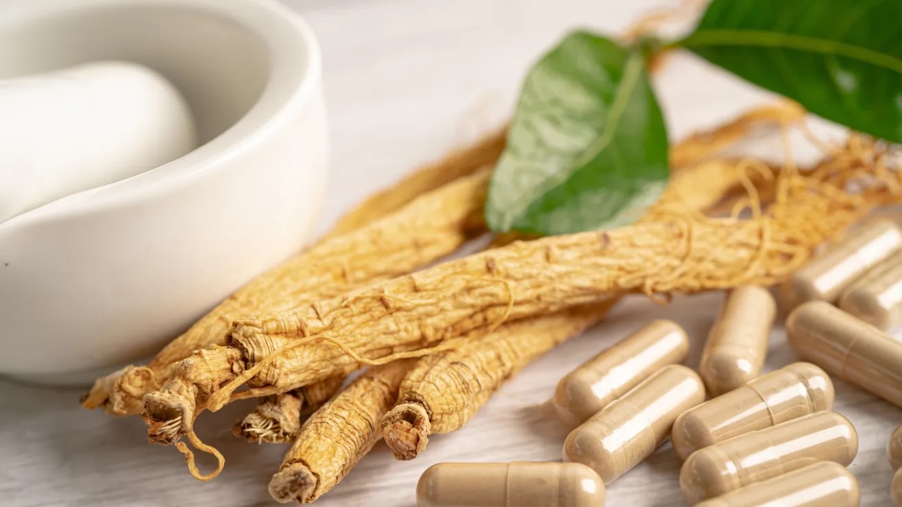 como-consumir-panax-ginseng_shutterstock_2338247887